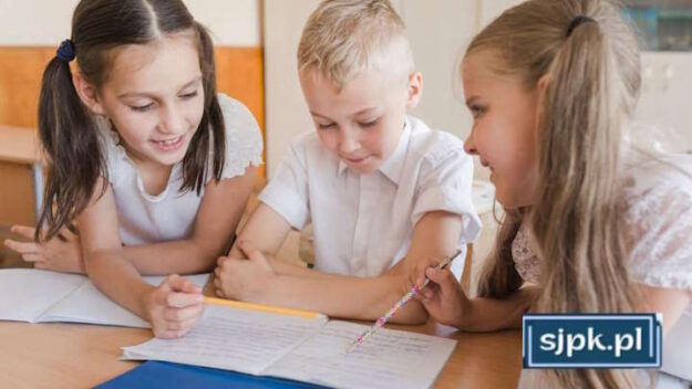 Что собой представляет система образования в Польше — SJPK Что собой представляет система образования в Польше - SJPK