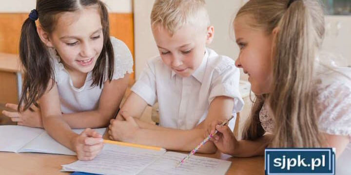 Что собой представляет система образования в Польше — SJPK Что собой представляет система образования в Польше - SJPK